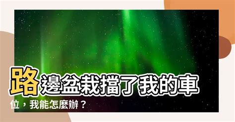 馬路放花盆|路邊「花盆佔車位」！直接搬動怕觸法 內行教2步驟可。